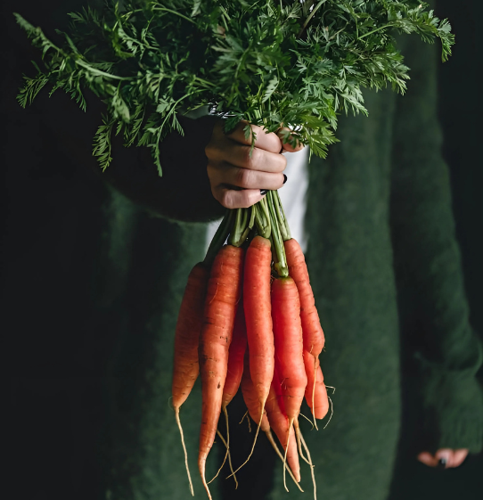 organic-crop-farming